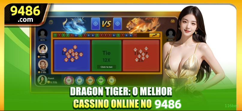 Segurança 116bet SSL